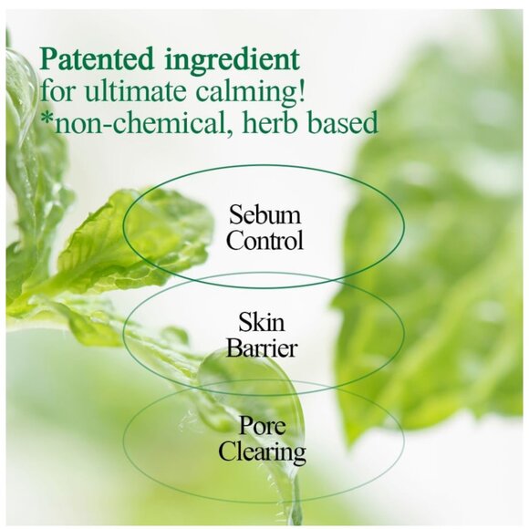 Pyunkang Yul - Ultimate Calming Solution Ampoule - 30ml | 1.01 fl oz - Picture 3 of 10